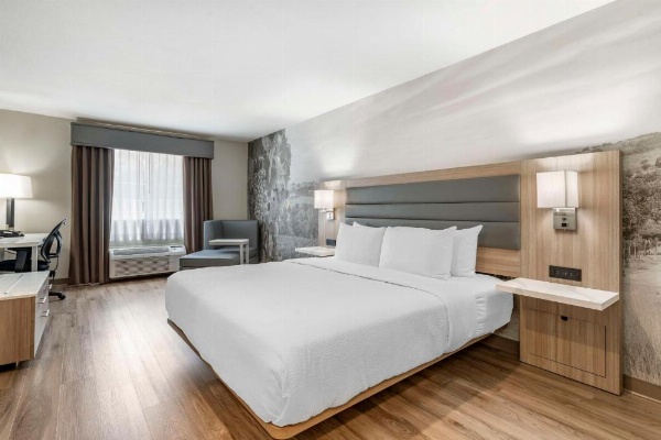 Best Western Plus Vineyard Inn image 27