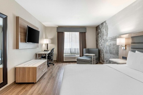 Best Western Plus Vineyard Inn image 28