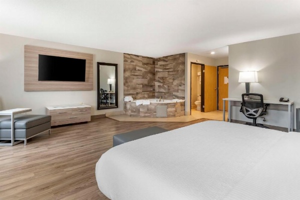 Best Western Plus Vineyard Inn image 8