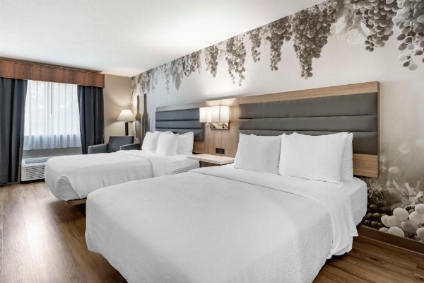 Best Western Plus Vineyard Inn image 9